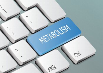 Jak przyspieszyć metabolizm?